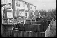 suburbian backyards
