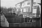 suburbian backyards